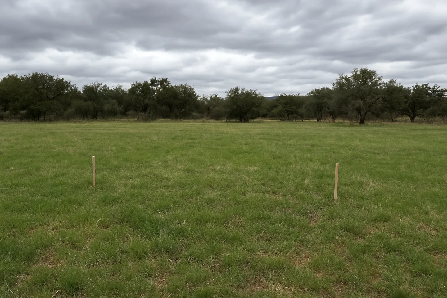 Vacant land parcel for sale in Cochise County, Arizona
