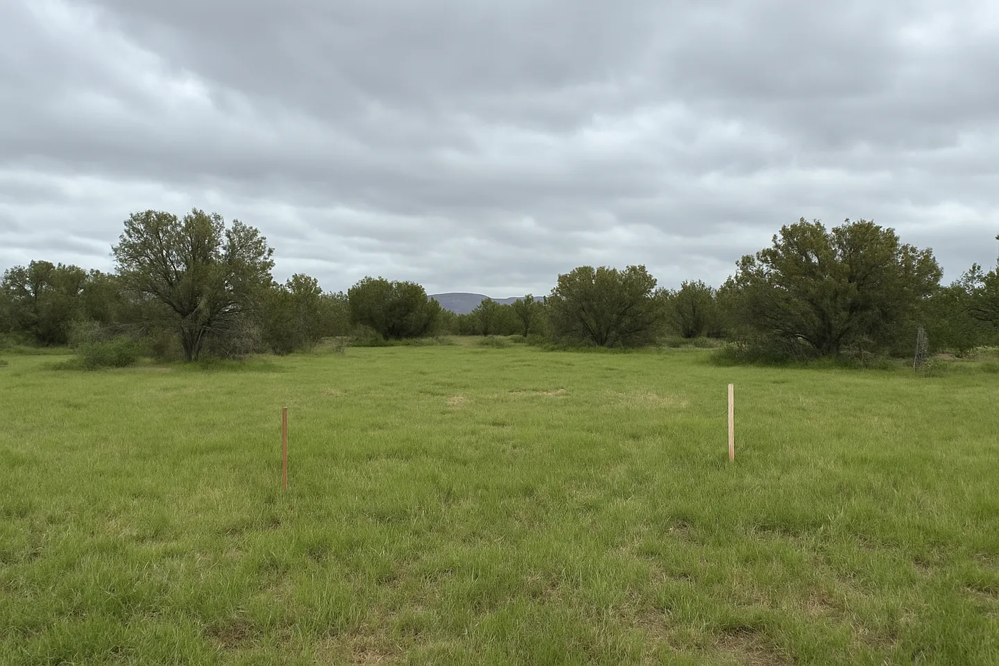 Vacant land parcel for sale in Mohave County, Arizona