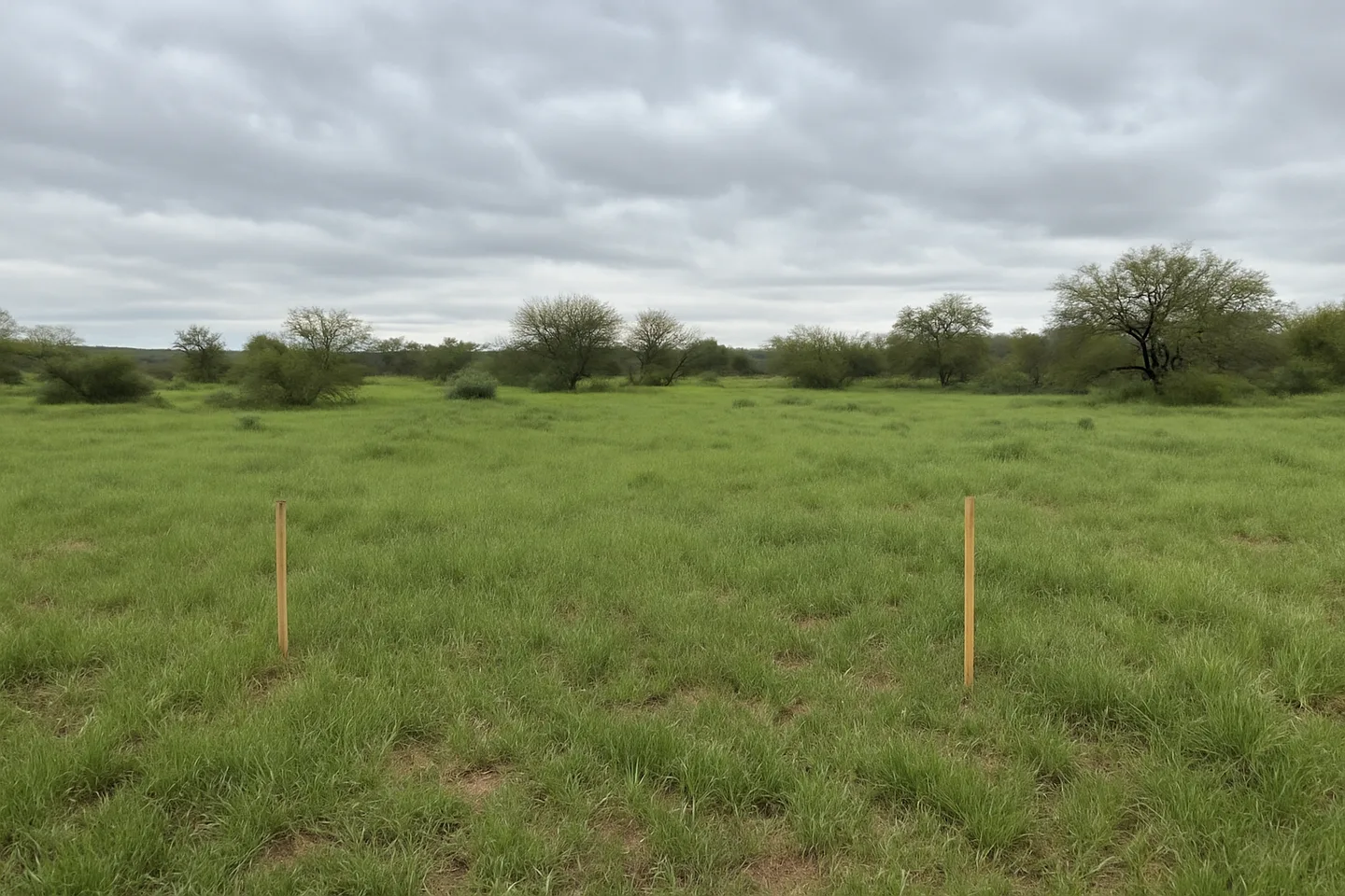 Vacant land parcel for sale in Pima County, Arizona