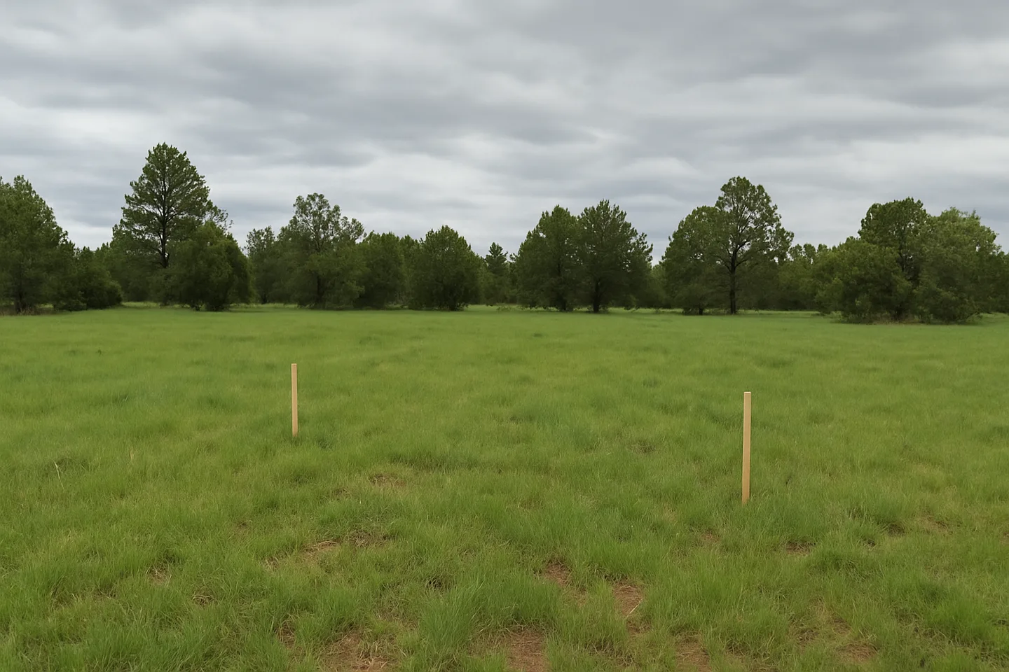 Vacant land parcel for sale in Show Low, Arizona