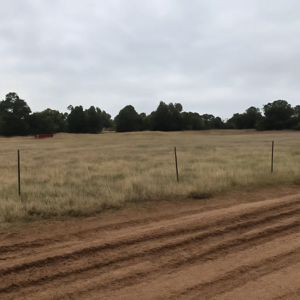 Rural acreage with open grassland and conifer forest in Apache County, Arizona
