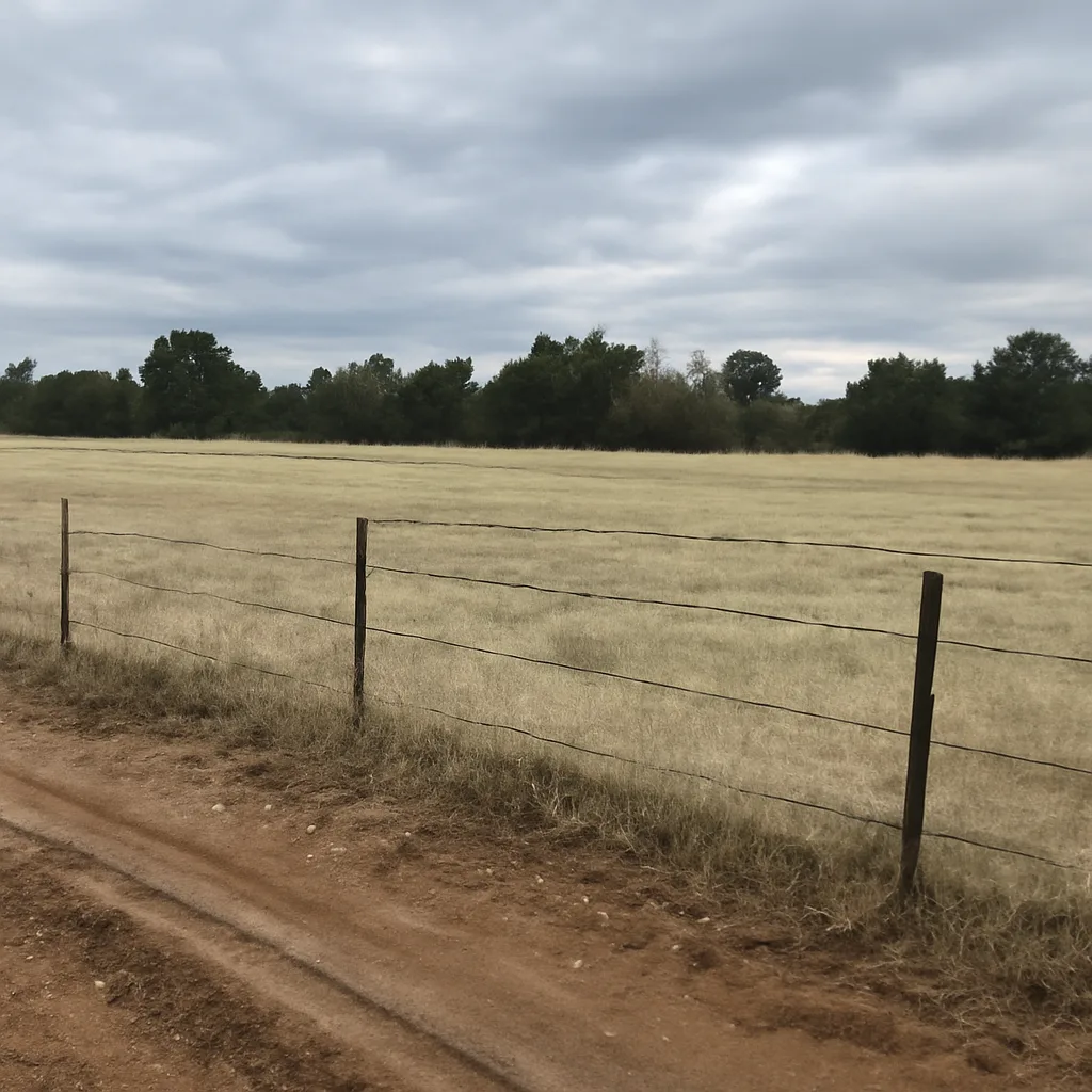 Rural acreage with open grassland and conifer forest in Navajo County, Arizona