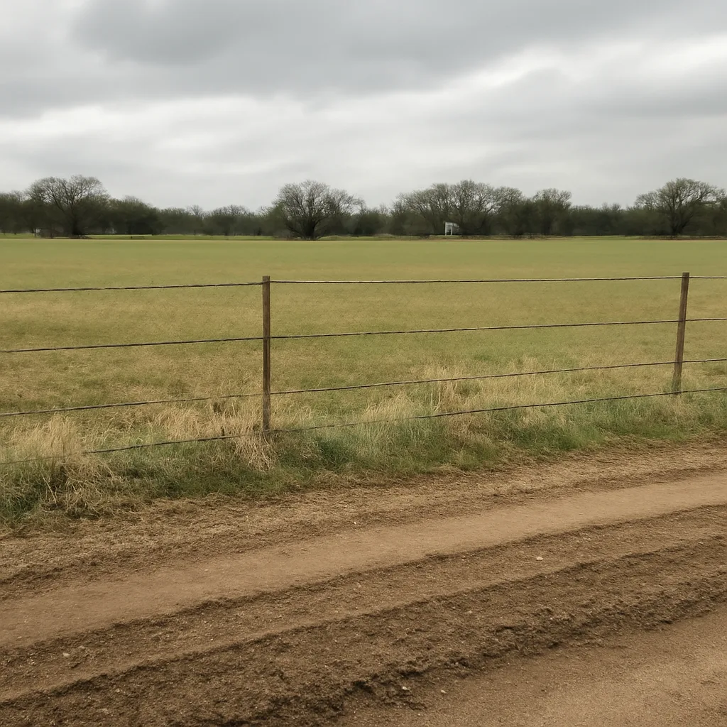 Rural acreage with open grassland and conifer forest in Pima County, Arizona