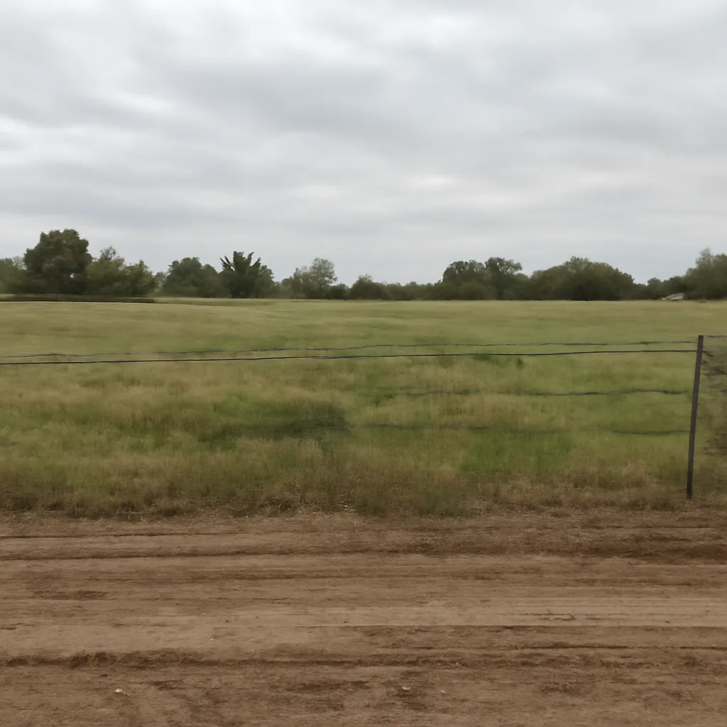 Rural acreage with open grassland and conifer forest in Yuma, Arizona